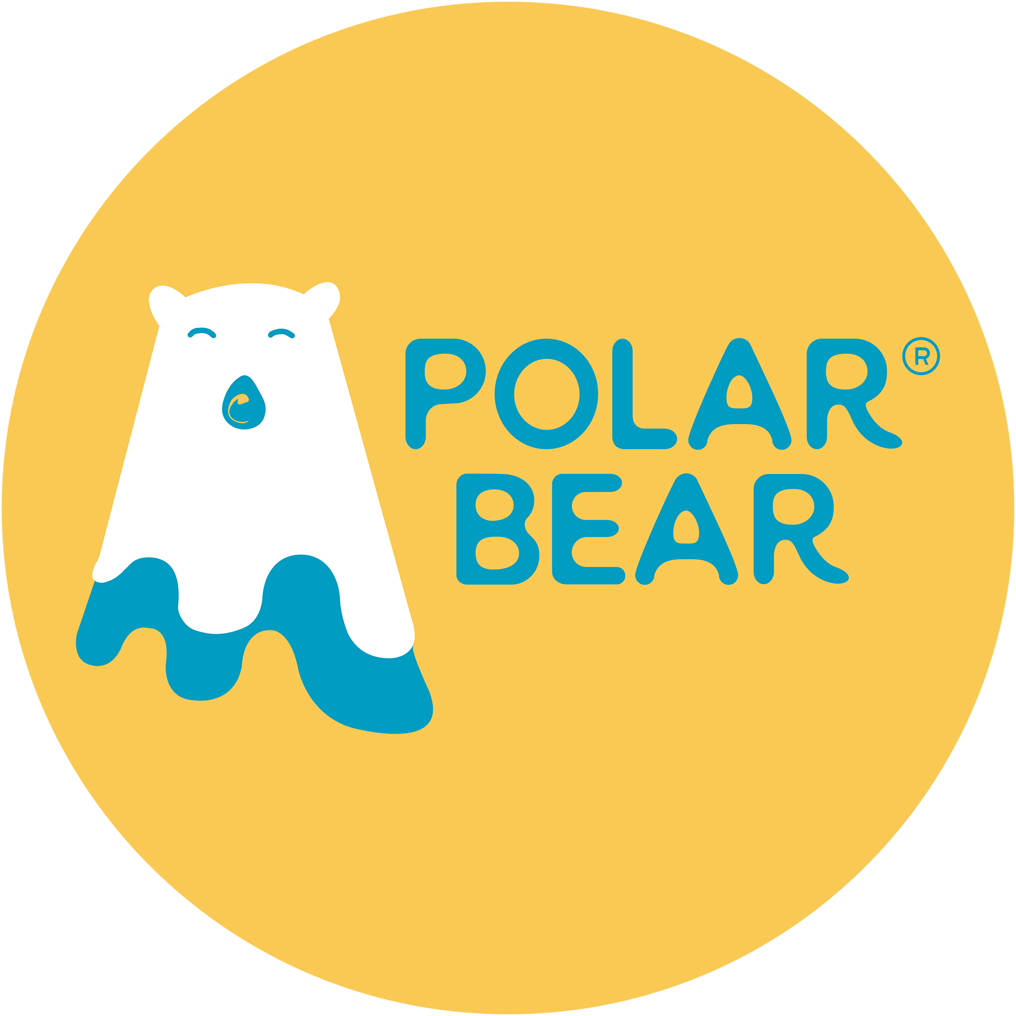 Polar Bear